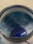 “Birds of Many Colors” Mug